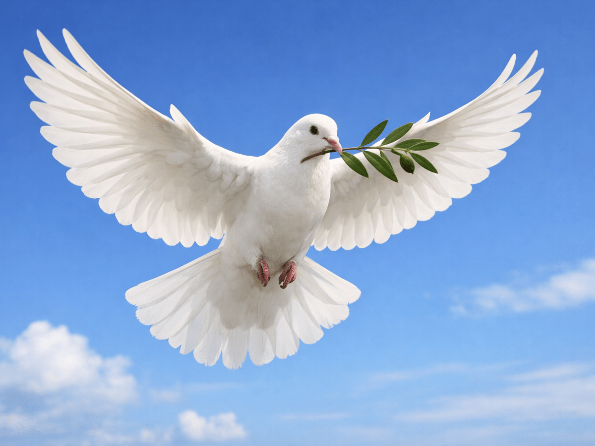 La pace disarmata e disarmante di un Bambino. Una riflessione sulla soglia del nuovo&nbsp;anno.